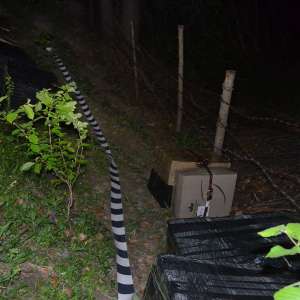 Țigări în valoare de peste 175.000 lei, confiscate la frontiera de nord