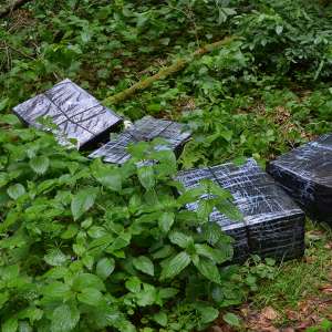 Aproximativ 8.000 de pachete cu ţigări, confiscate la frontiera de nord