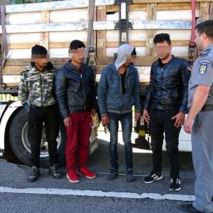 Patru cetăţeni afgani ascunşi într-un camion, printre pepeni, descoperiţi la P.T.F. Calafat