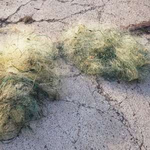 Bunuri de peste 48.000 de lei provenite din infracţiuni de braconaj,indisponibilizate de poliţiştii de frontieră brăileni