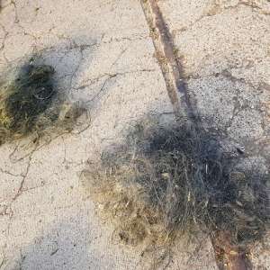 Bunuri de peste 48.000 de lei provenite din infracţiuni de braconaj,indisponibilizate de poliţiştii de frontieră brăileni