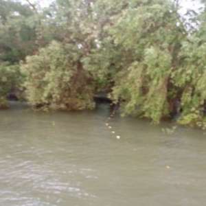 Bunuri de peste 48.000 de lei provenite din infracţiuni de braconaj,indisponibilizate de poliţiştii de frontieră brăileni