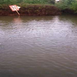 Bunuri de peste 48.000 de lei provenite din infracţiuni de braconaj,indisponibilizate de poliţiştii de frontieră brăileni