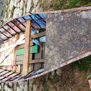 Bunuri de peste 48.000 de lei provenite din infracţiuni de braconaj,indisponibilizate de poliţiştii de frontieră brăileni