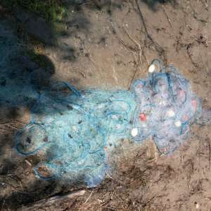 Bunuri de peste 48.000 de lei provenite din infracţiuni de braconaj,indisponibilizate de poliţiştii de frontieră brăileni