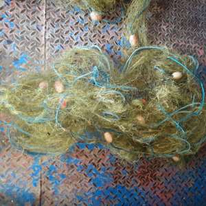 Bunuri de peste 48.000 de lei provenite din infracţiuni de braconaj,indisponibilizate de poliţiştii de frontieră brăileni