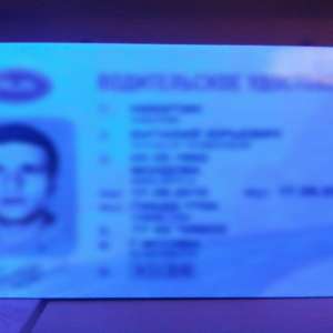 1.400 de dolari preţul unui permis de conducere fals