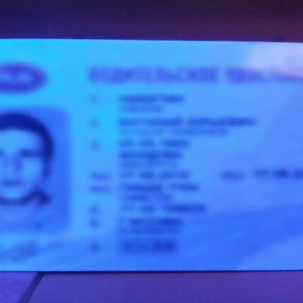 1.400 de dolari preţul unui permis de conducere fals