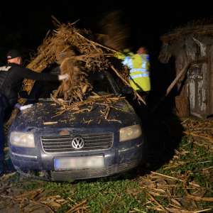 Aproximativ 25.500 pachete cu ţigări, confiscate în urma unor acţiuni la frontiera cu R. Moldova