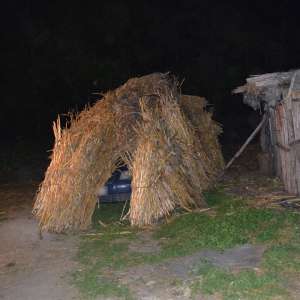 Aproximativ 25.500 pachete cu ţigări, confiscate în urma unor acţiuni la frontiera cu R. Moldova