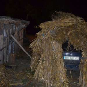 Aproximativ 25.500 pachete cu ţigări, confiscate în urma unor acţiuni la frontiera cu R. Moldova