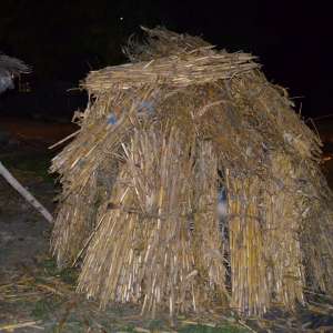 Aproximativ 25.500 pachete cu ţigări, confiscate în urma unor acţiuni la frontiera cu R. Moldova