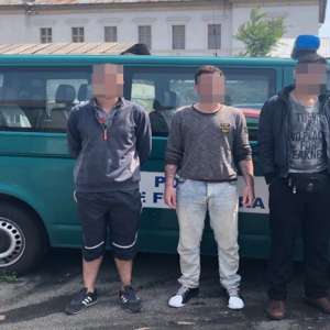 Patru iranieni intenţionau să iasă ilegal din România, ascunși în compartimentul de marfă al unui TIR