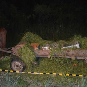 Contrabandist prins cu ţigările în căruţă