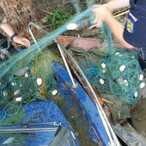 Brăileni cercetaţi pentru braconaj piscicol