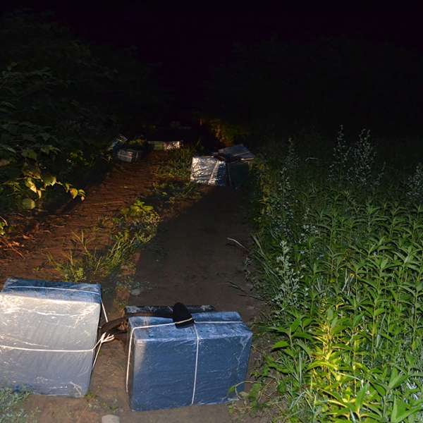 Peste 16.000 pachete cu țigări descoperite la frontiera verde