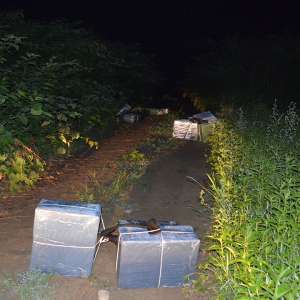 Peste 16.000 pachete cu țigări descoperite la frontiera verde