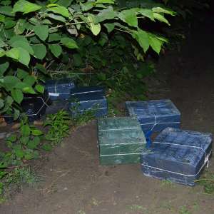 Peste 16.000 pachete cu țigări descoperite la frontiera verde
