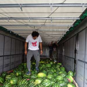 Trei pakistanezi ascunși într-un camion, printre pepeni, descoperiți la P.T.F. Calafat