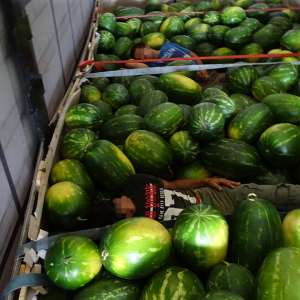 Trei pakistanezi ascunși într-un camion, printre pepeni, descoperiți la P.T.F. Calafat