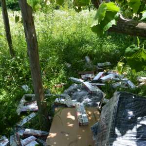 Focuri de armă pentru reţinerea unui contrabandist