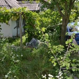 Focuri de armă pentru reţinerea unui contrabandist
