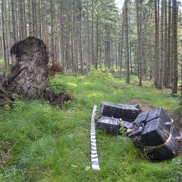 Peste 18.000 de pachete țigări confiscate la frontiera de nord a României