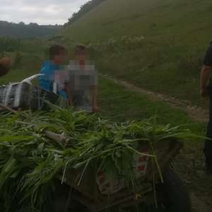 Țigarete de contrabandă, ascunse într-o căruţă