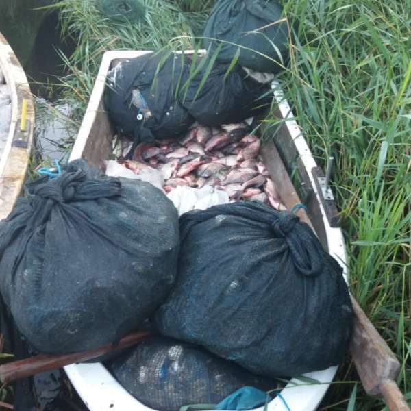 Peste 600 kg de pește și plase de pescuit cu fir textil, confiscate de polițiștii de frontieră
