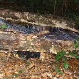 Țigări în valoare de aproximativ 850.000 lei, confiscate