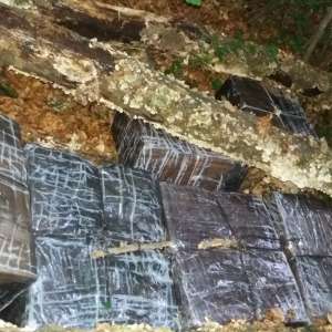 Țigări în valoare de aproximativ 850.000 lei, confiscate