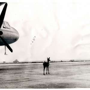 Aeroportul Internațional „Ștefan cel Mare” Suceava, în plină expansiune