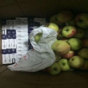 Mere cu aromă de tutun descoperite în P.T.F. Stânca