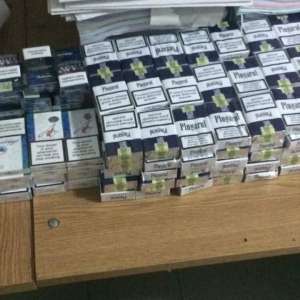 Mere cu aromă de tutun descoperite în P.T.F. Stânca