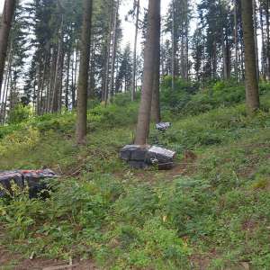 Țigări în valoare de aproximativ 265.000 lei, confiscate la frontiera de nord