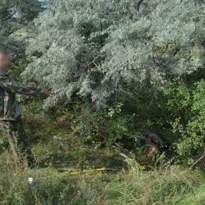 Contrabandă cu ţigări, la frontiera de est   