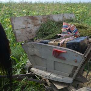 Contrabandă cu ţigări, la frontiera de est   