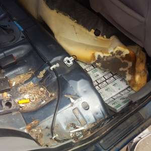 Peste 14.000 pachete țigări confiscate la frontiera de nord