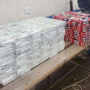 Peste 14.000 pachete țigări confiscate la frontiera de nord