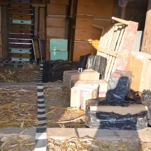 7.680 de pachete cu țigări, confiscate la frontiera de nord