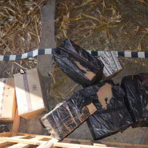 7.680 de pachete cu țigări, confiscate la frontiera de nord