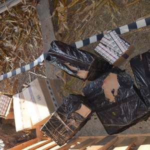 7.680 de pachete cu țigări, confiscate la frontiera de nord