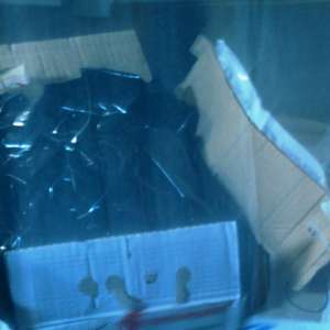 Țigări de contrabandă, descoperite la P.T.F. Oancea   