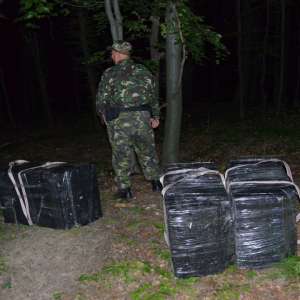 Ţigarete de contrabandă în valoare de aproximativ 240.000 de lei descoperite la frontiera de est