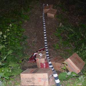Peste 12.000 pachete ţigări confiscate la frontiera de nord