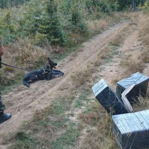 Doi cetățeni cercetați pentru contrabandă și peste 15.000 pachete țigări confiscate