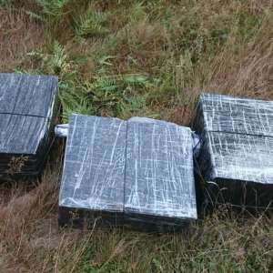 Doi cetățeni cercetați pentru contrabandă și peste 15.000 pachete țigări confiscate
