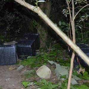 Peste 37.000 pachete cu țigări confiscate la frontiera de nord