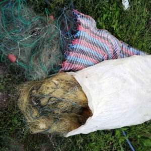 Brăileni cercetaţi pentru braconaj piscicol