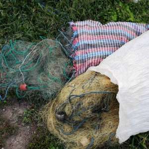 Brăileni cercetaţi pentru braconaj piscicol